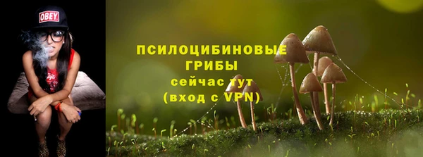 PSILOCYBIN Пестово