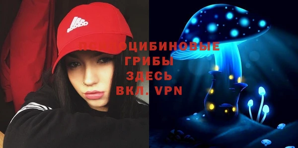 PSILOCYBIN Пестово