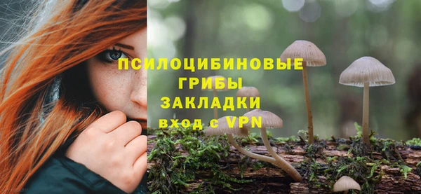 гашик Переславль-Залесский