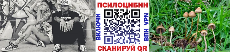 купить закладку  Заполярный  Галлюциногенные грибы ЛСД 